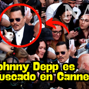 Johnny Depp es buscado en Cannes